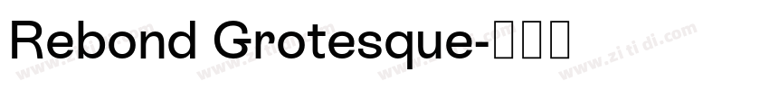 Rebond Grotesque字体转换 Rebond Grotesque字体转换